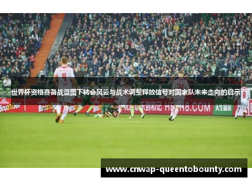 世界杯资格赛备战蓝图下转会风云与战术调整释放信号对国家队未来走向的启示