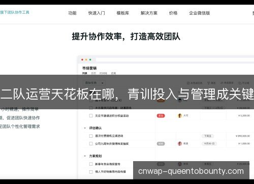 二队运营天花板在哪，青训投入与管理成关键