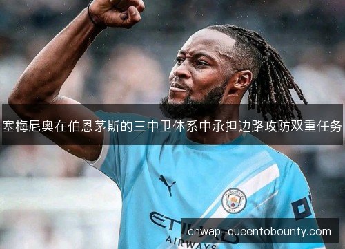 塞梅尼奥在伯恩茅斯的三中卫体系中承担边路攻防双重任务